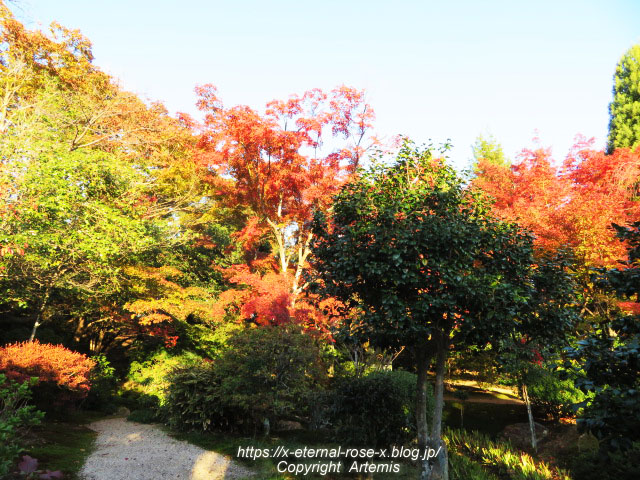 19.11.23.9 法金剛院 (59)