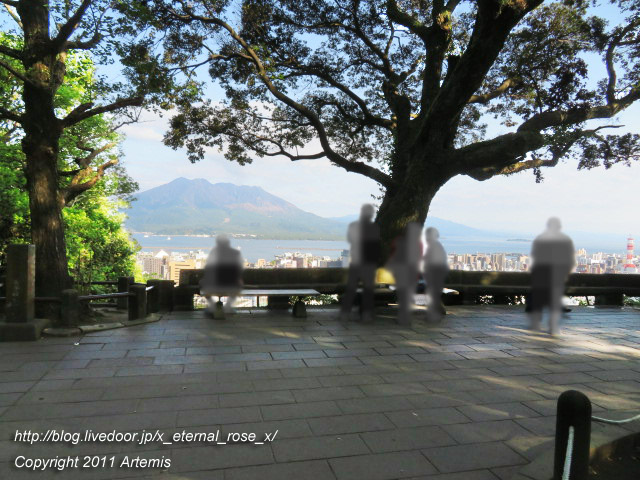 20.10.31.8 城山公園展望台  (9)