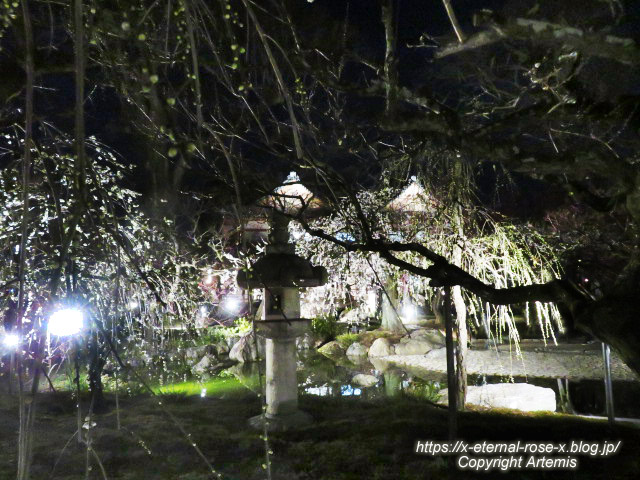 23.3.3. 北野天満宮 (55)