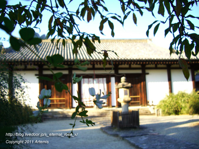 10.10.17.5 新薬師寺 (6)