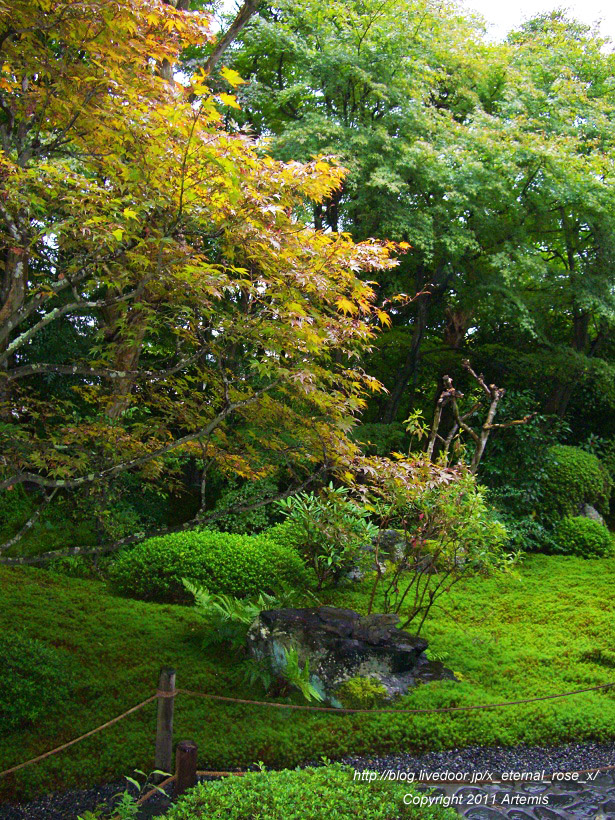 10.10.24.4 鈴虫寺  (20)