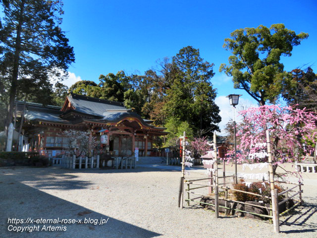 23.3.2.4 長岡天満宮 (1)