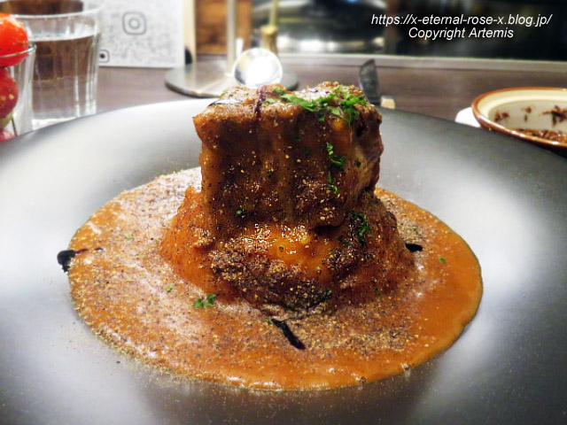 24.1.9 エルルージュ  (16)