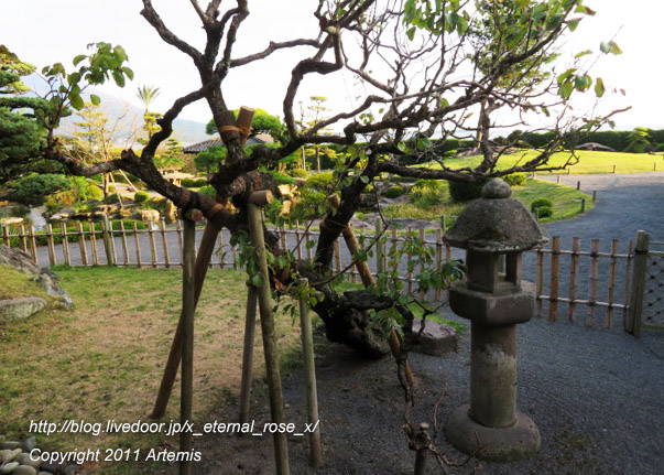 20.10.31.13 仙巌園  御殿  (30)