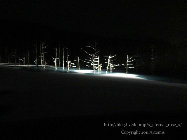 18.11.21.9 青い池  (21)