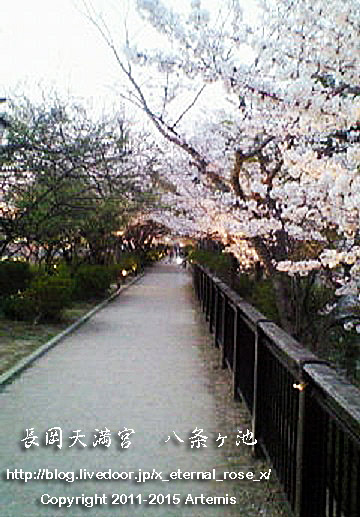 1 長岡天満宮 (1)