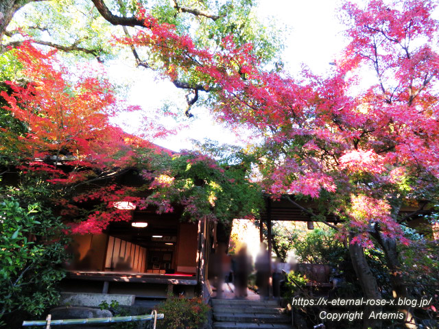 19.11.23.7 妙心寺 退蔵院  (72)