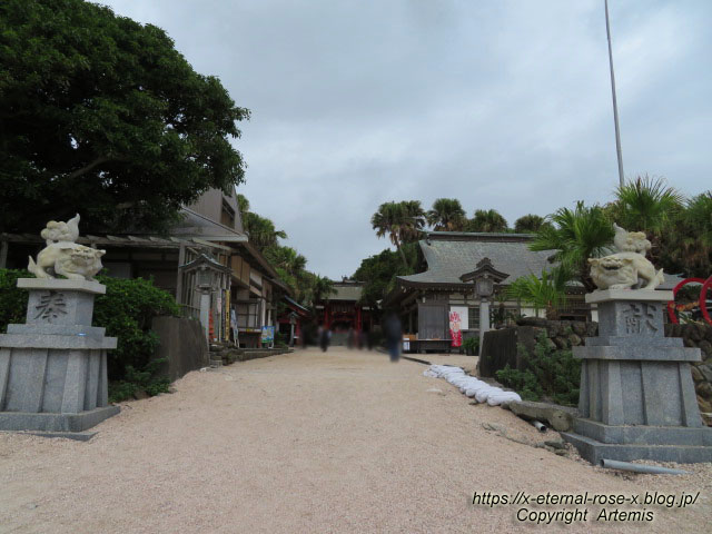 20.11.1.2 青島 (46)