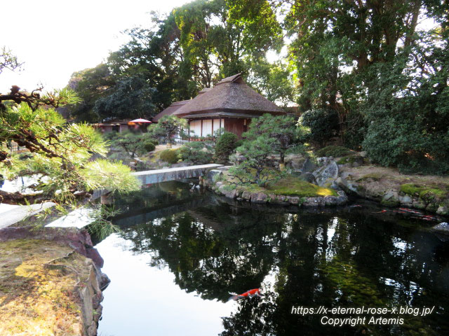 23.1.1 岡山後楽園  (114)