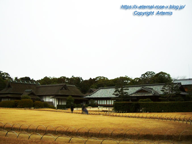 11.1.1 岡山後楽園 (10)