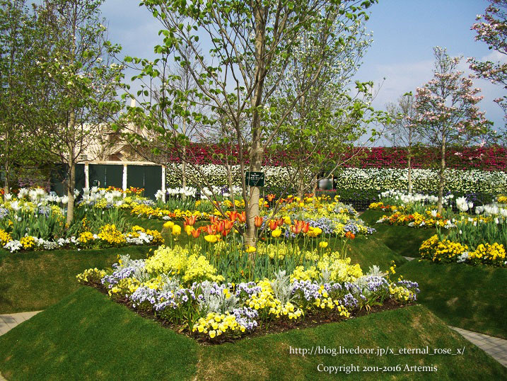 27 おかやま花だより  (49)