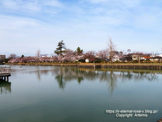 22.3.30.4 長岡天満宮 (16)