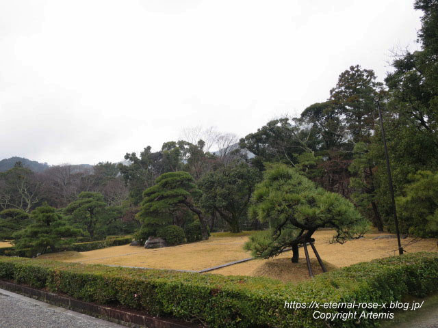 18.1.17.6 伊勢神宮内宮  (11)