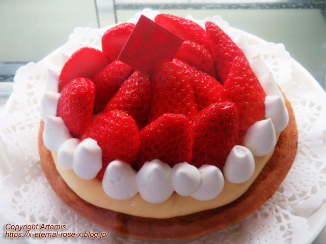 22.12.25 サフラン  (6)