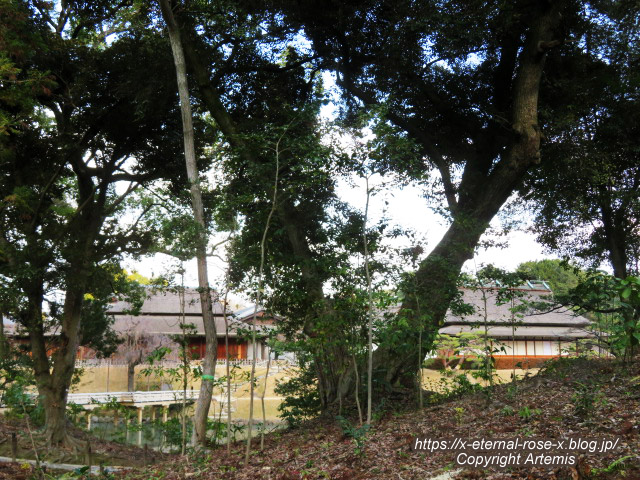 23.1.1.6 岡山後楽園 (10)