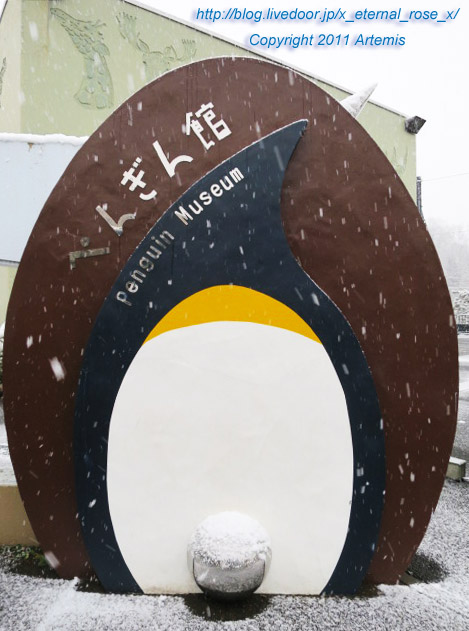 18.11.22.18 旭山動物園  (1)