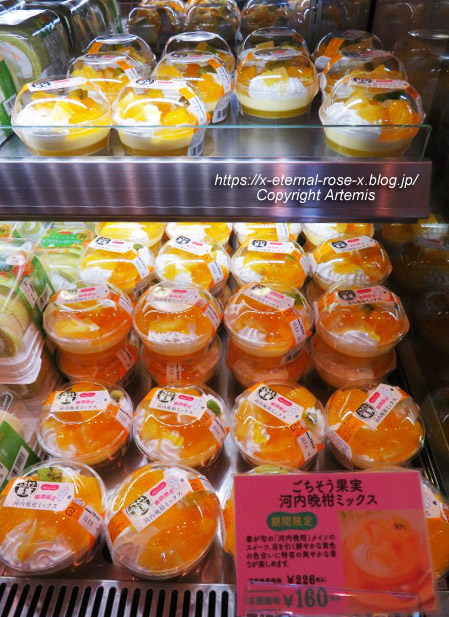 22.5.3.8 ドンレミー岡山店  (11)