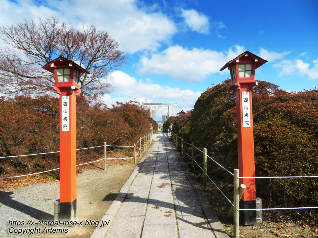23.3.2.4 長岡天満宮 (10)