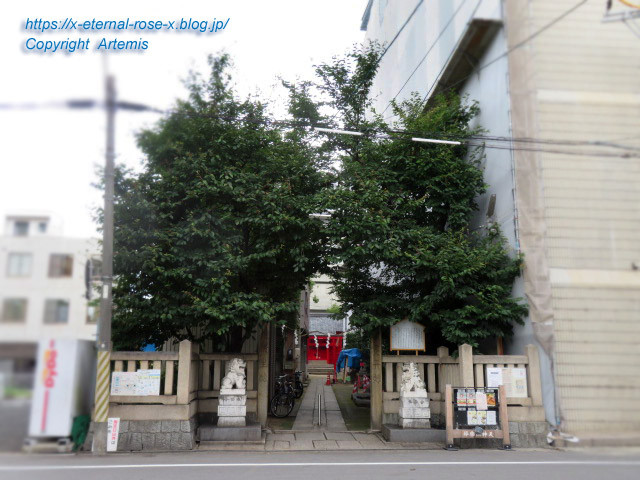 21.7.15 とんや (26)