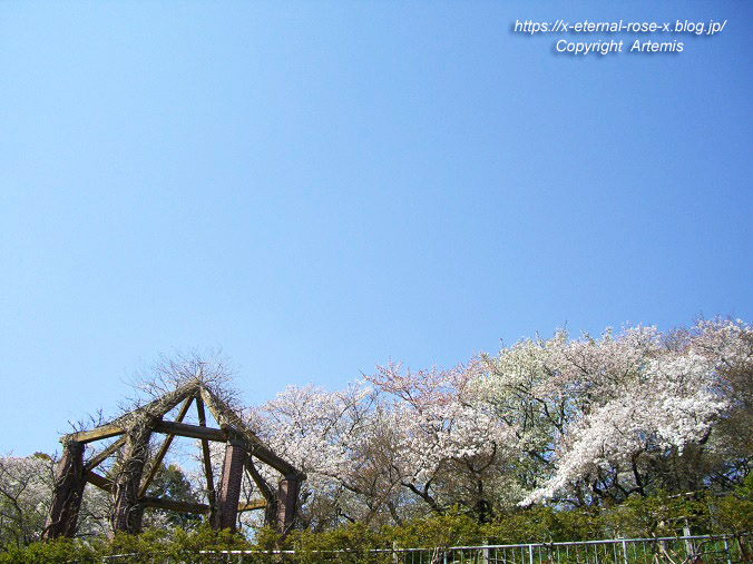 11.4.14.1 半田山植物園  (141)