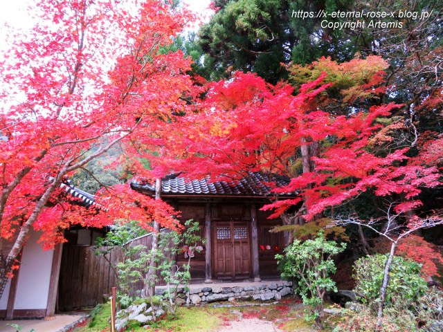 19.11.27 高雄 神護寺  (141)