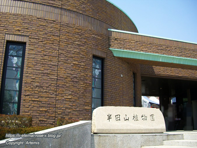 11.4.14.1 半田山植物園 (3)