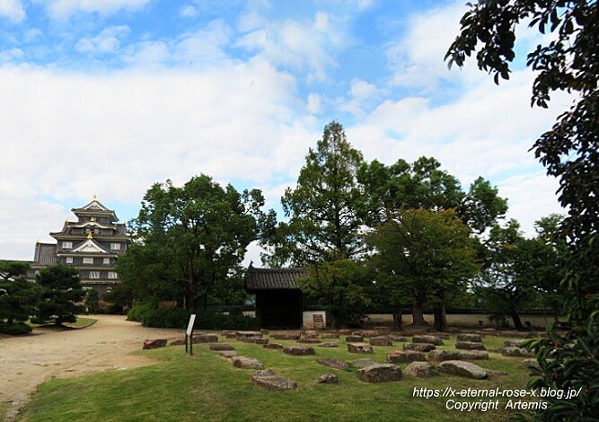 20.10.11.3 岡山城  (22)