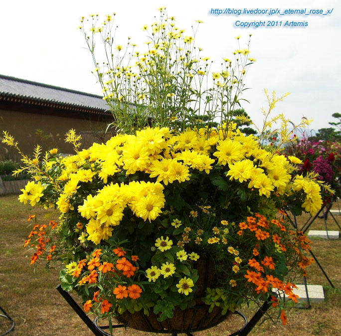 10.10.23.4 東院庭園 (24)