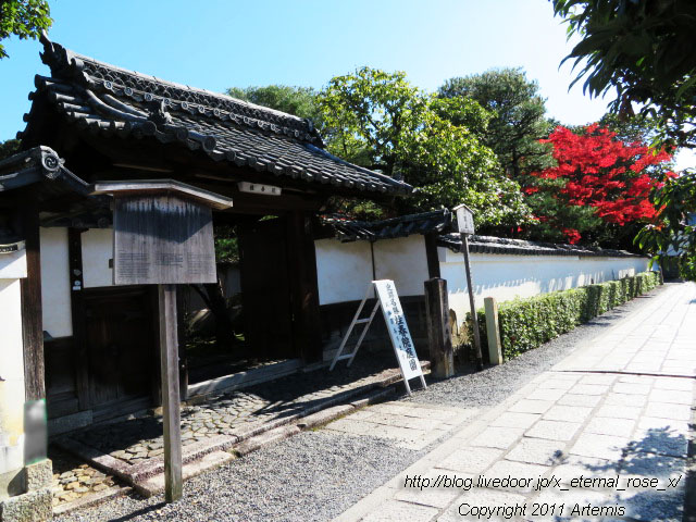 19.11.23.3 桂春院 (4)