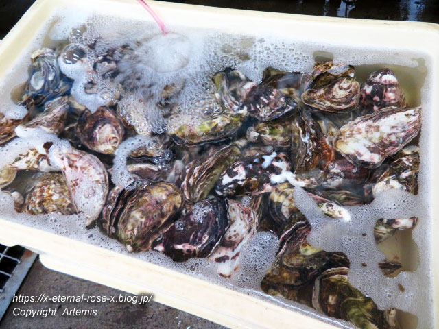 22.3.19 魚河岸吉又 (5)
