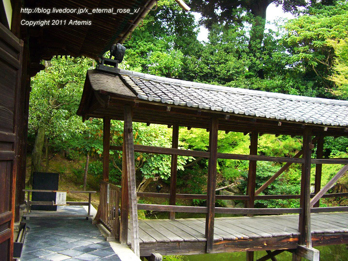 10.10.20.9 高台寺  (25)