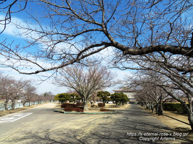 23.2.12.2 西大寺 向州公園 (1)