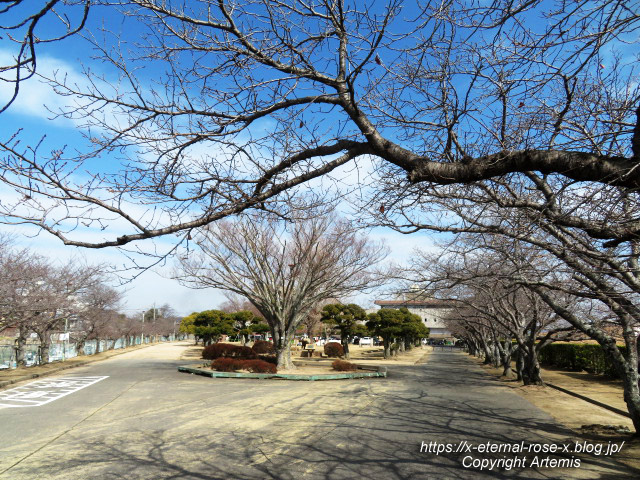 23.2.12.2 西大寺 向州公園  (1)