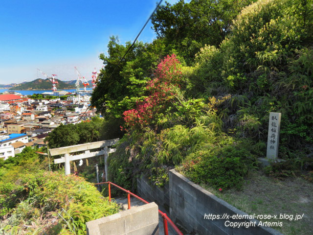 22.5.3.6 玉比咩神社 (67)