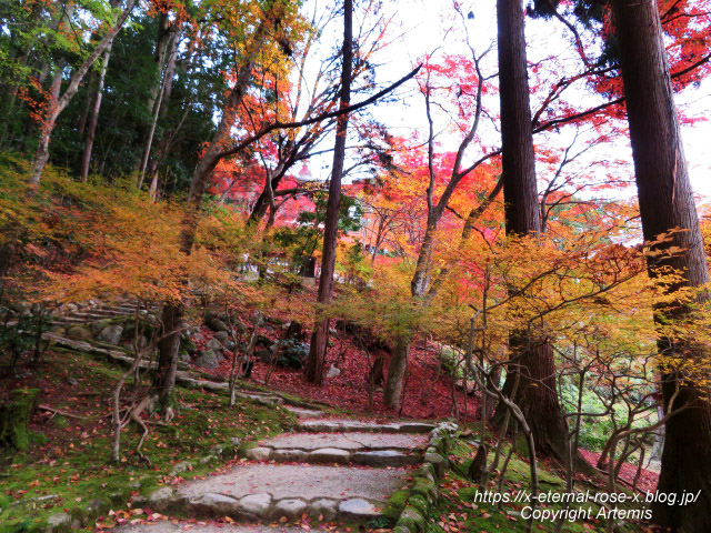 19.11.27 高雄 神護寺  (124)