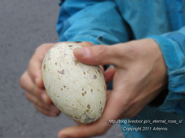 18.11.22.8 丹頂  (13)