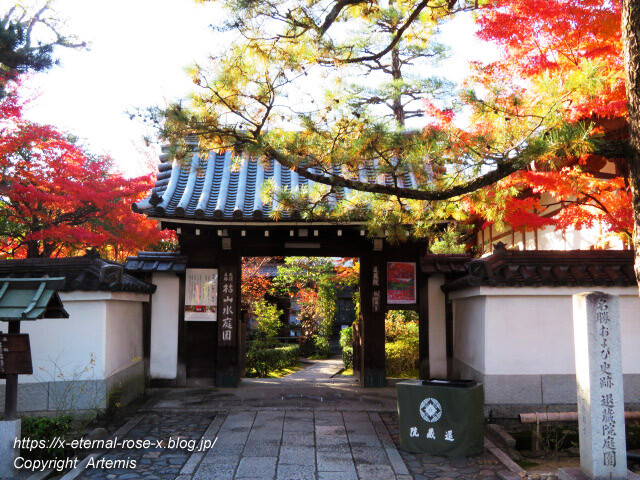 19.11.23.7 妙心寺 退蔵院  (4)