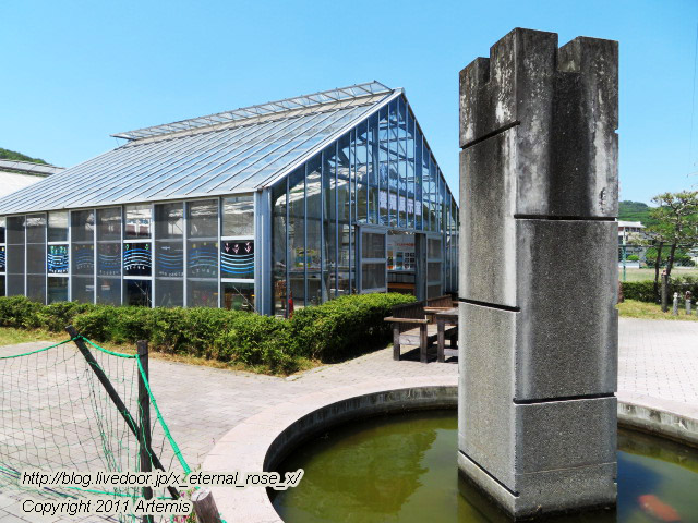 19.5.11.2 めだかの学校  (12)