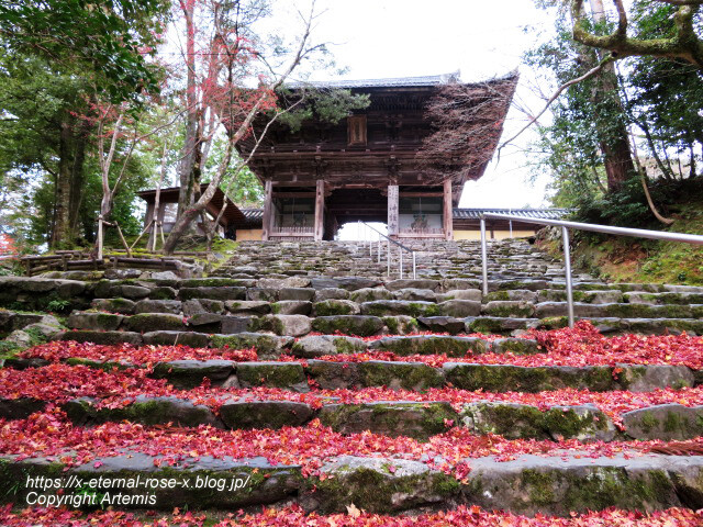 19.11.27 高雄 神護寺 (46)