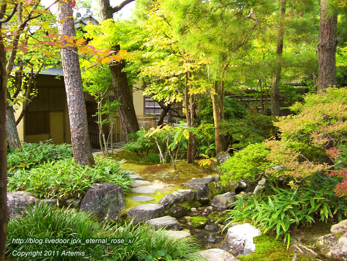 10.10.19.1 銀閣寺 (47)