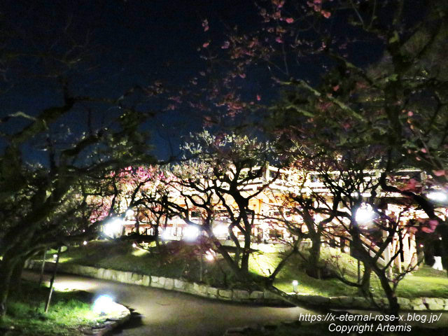 23.3.3. 北野天満宮 (66)