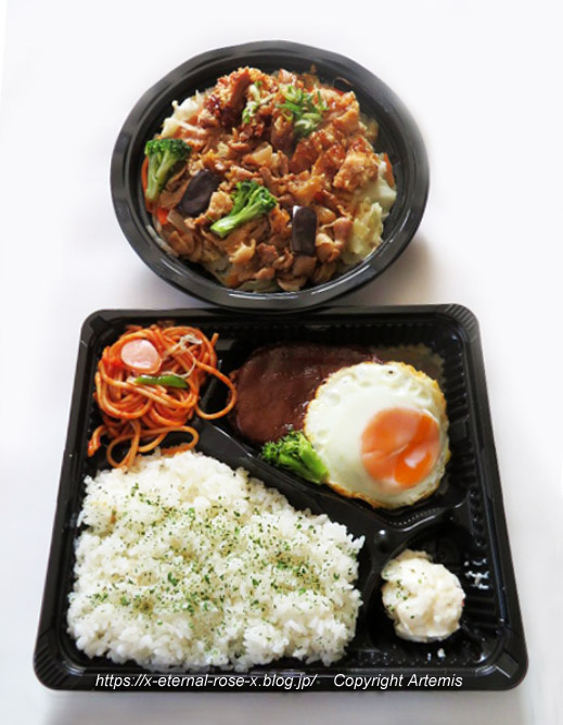 24.1.12 レストランのお弁当 根本商店  (27)