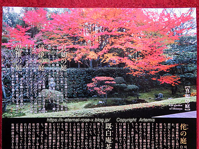 19.11.23.3 桂春院  (27)