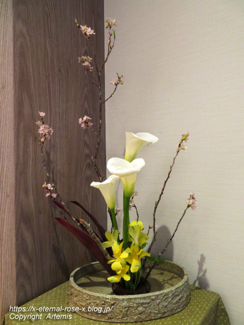 22.3.20 かに道楽岡山店  (9)