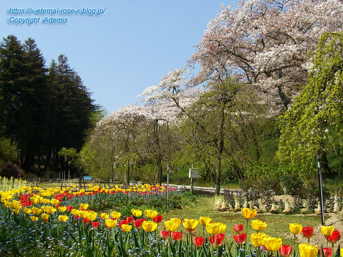 11.4.14.1 半田山植物園 (27)