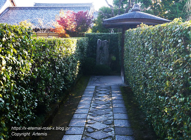 19.11.23.7 妙心寺 退蔵院  (128)