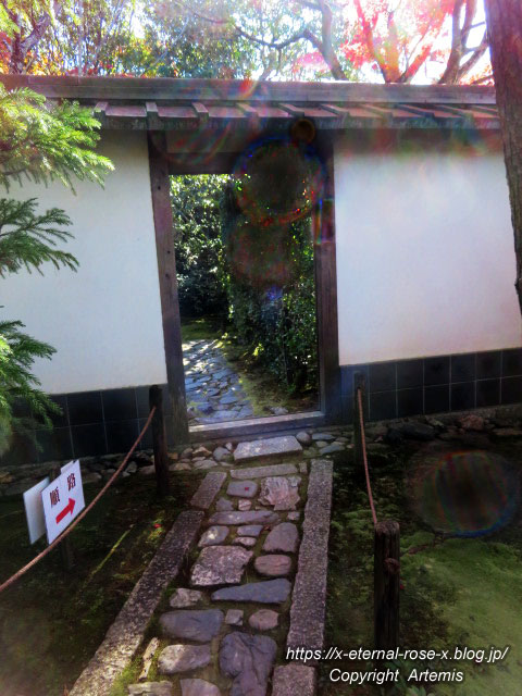 19.11.23.3 桂春院 (80)