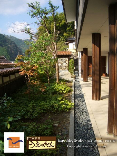 6 うえのだん (11)