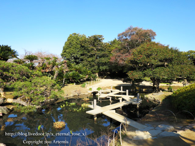 19.1.1.1 後楽園  (46)