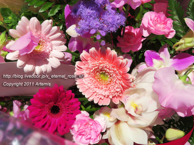 20.12.3 オぷスト (19)